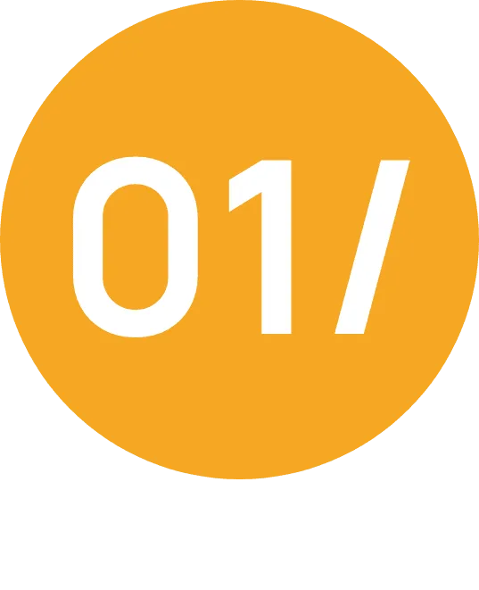 Desarrollo de Estrategia